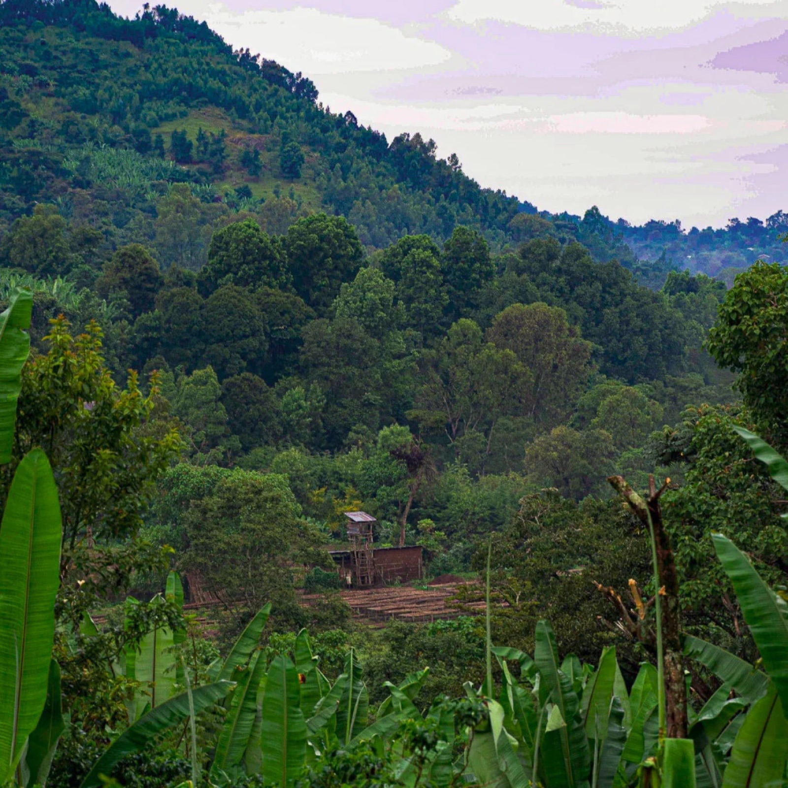 Kayon Mountain